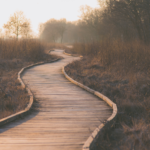 wooden path through a meadow