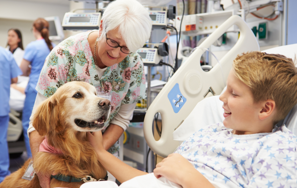 young boy and older woman with a golden retriever therapy dog