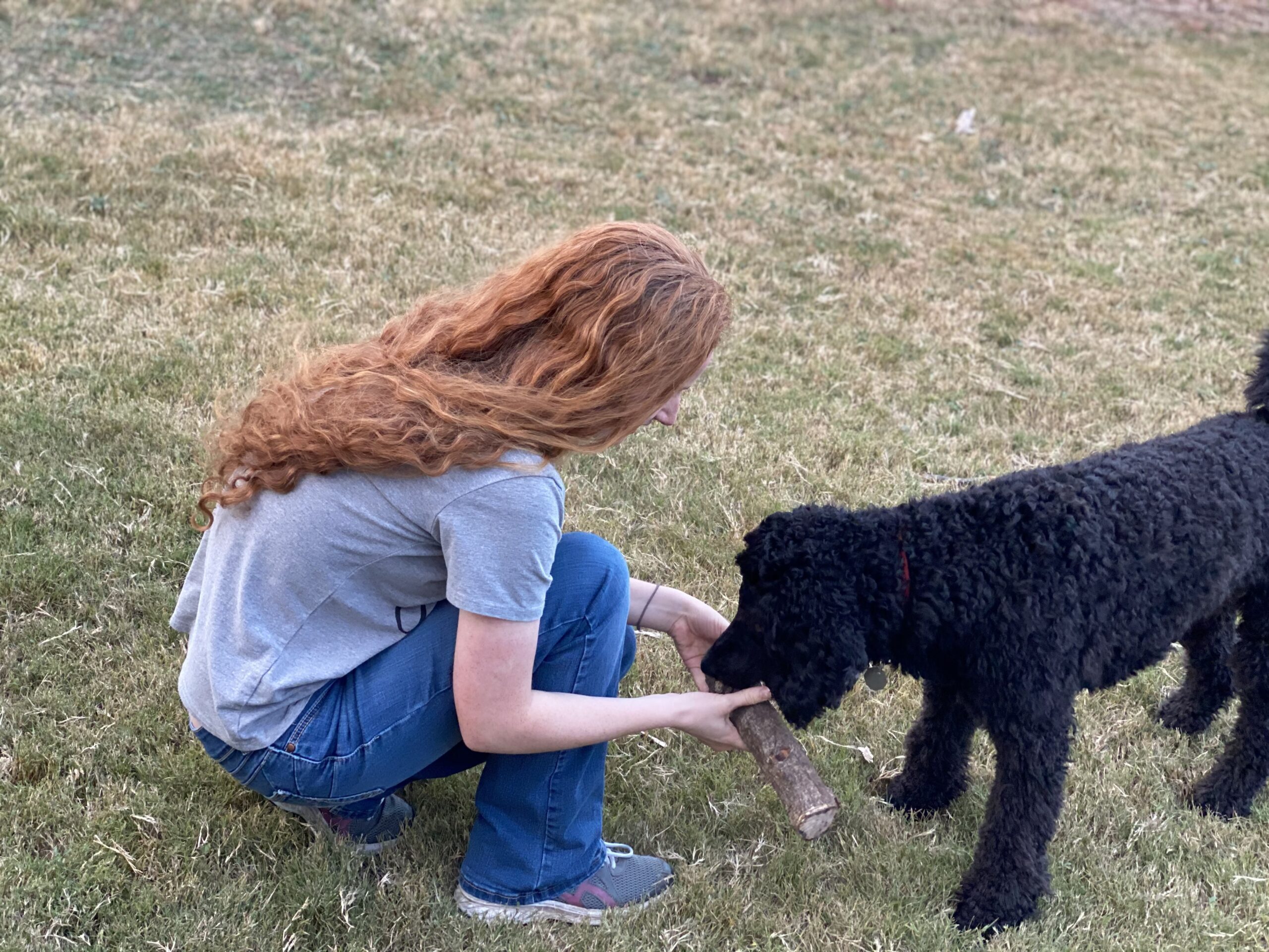 picture of a redheaded young woman holding a stick for a black poodle puppy