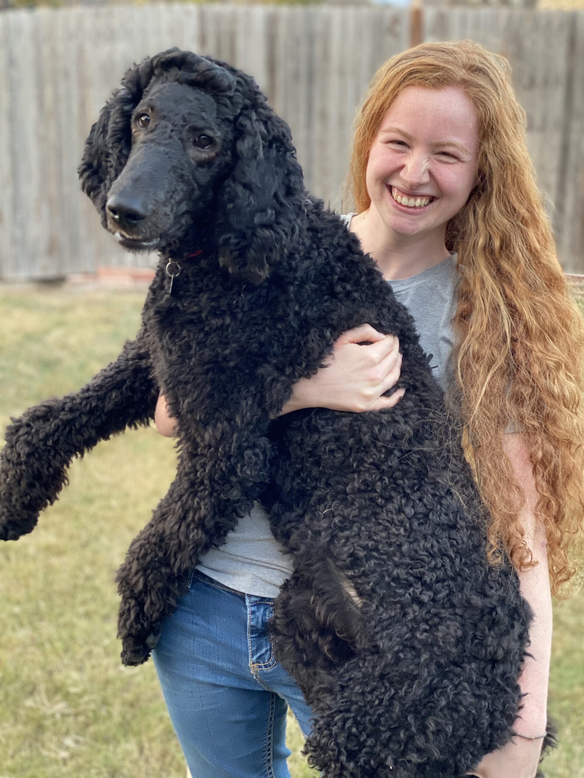 Redheaded young woman holding black poodle puppy